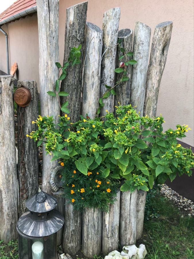 S'Schnoganeschd Villa Nemesvid Dış mekan fotoğraf