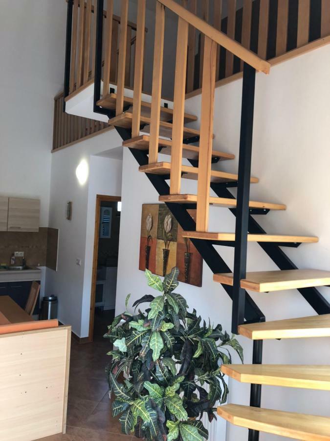 S'Schnoganeschd Villa Nemesvid Dış mekan fotoğraf