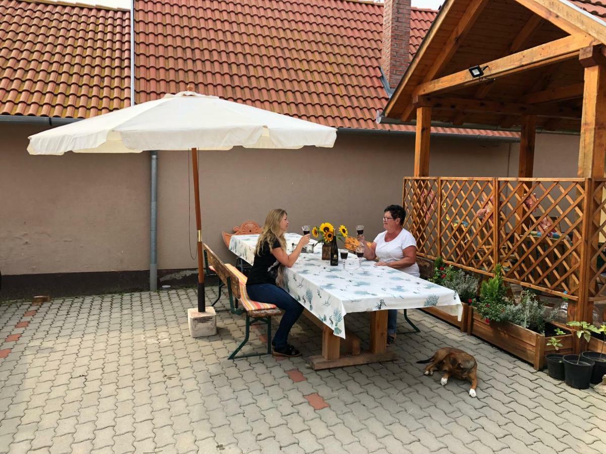 S'Schnoganeschd Villa Nemesvid Dış mekan fotoğraf